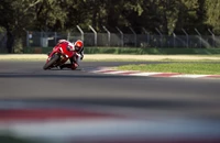 Ducati 1299 Panigale S 2016 - Bild 15 Ducati 1299 Panigale S 2016 - Bild 15