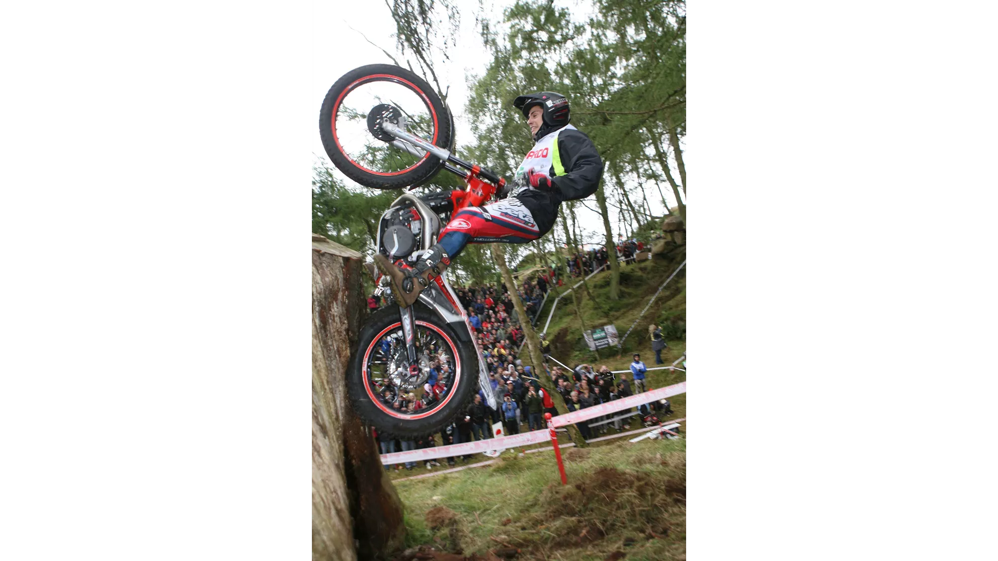 Beta Evo 250 4Takt - Image 3 Beta Evo 250 4Takt - Image 3