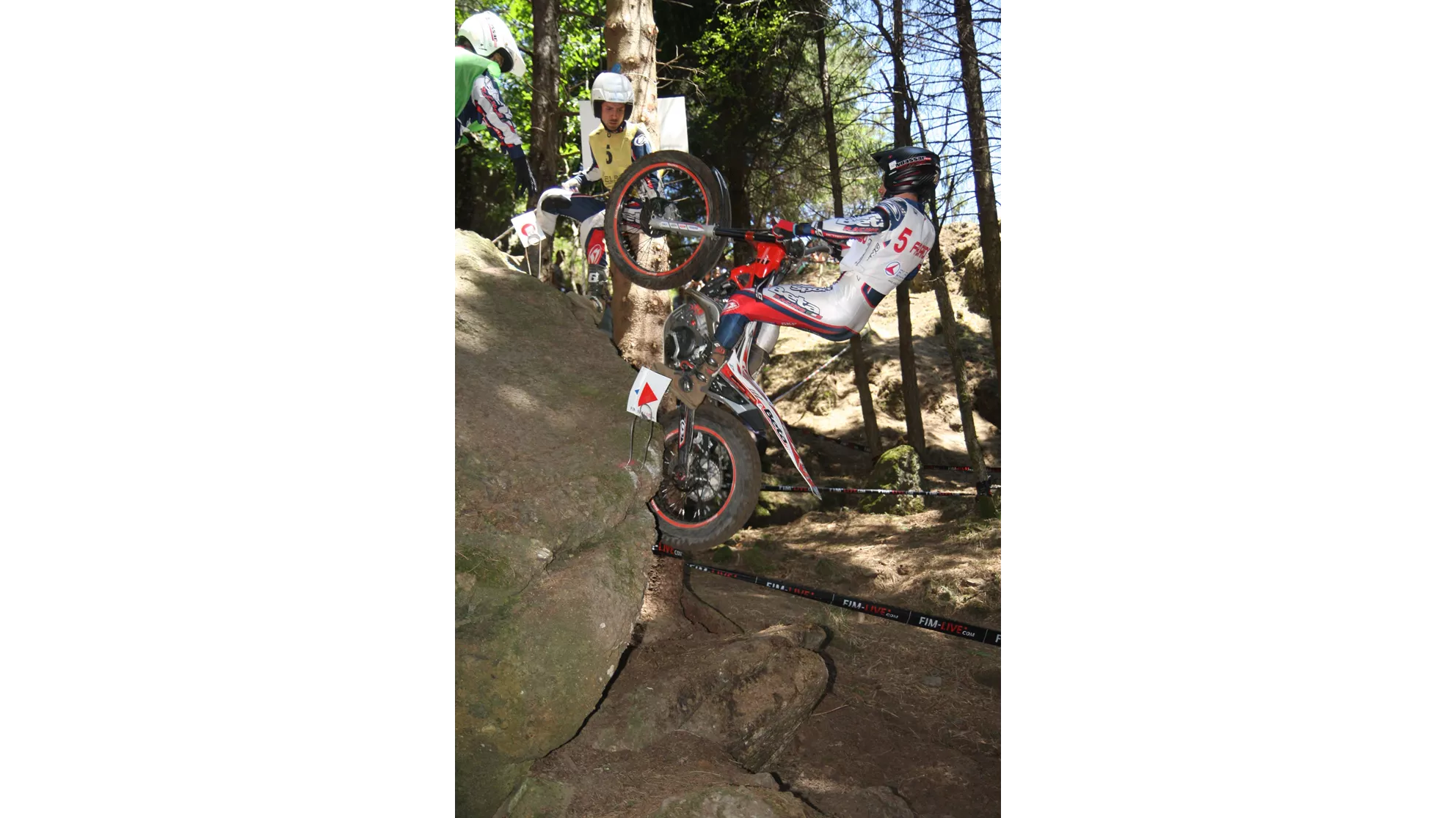 Beta Evo 250 2T - Image 6 Beta Evo 250 2T - Image 6