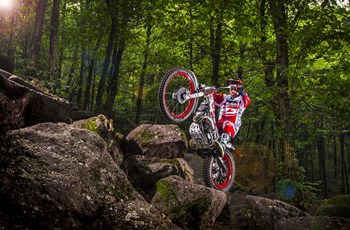 Beta Evo 300 2T 2016 - Bild 9 Beta Evo 300 2T 2016 - Bild 9