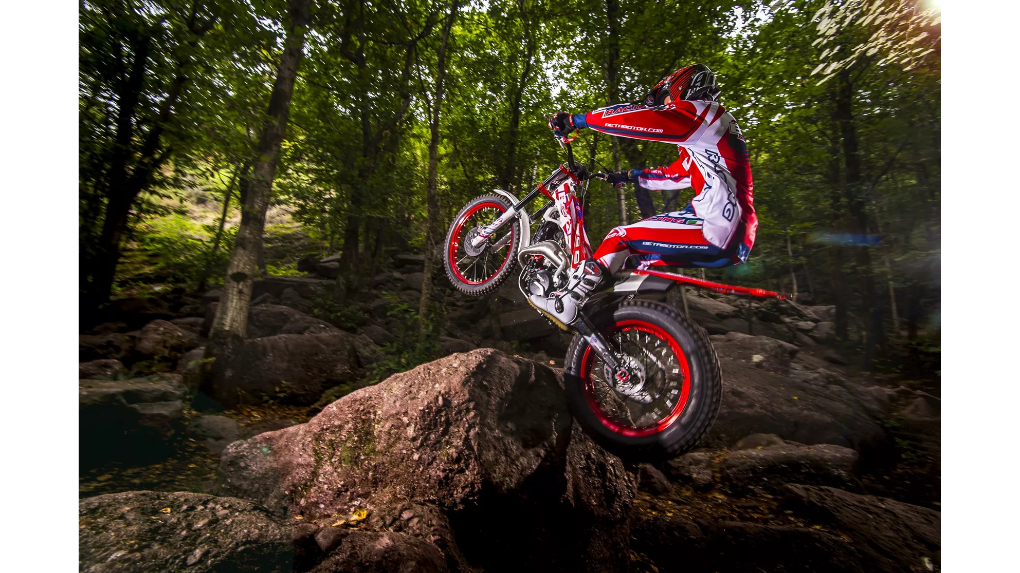 Beta Evo 300 2T - Image 8 Beta Evo 300 2T - Image 8