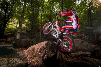 Beta Evo 300 2T 2016 - Bild 10 Beta Evo 300 2T 2016 - Bild 10