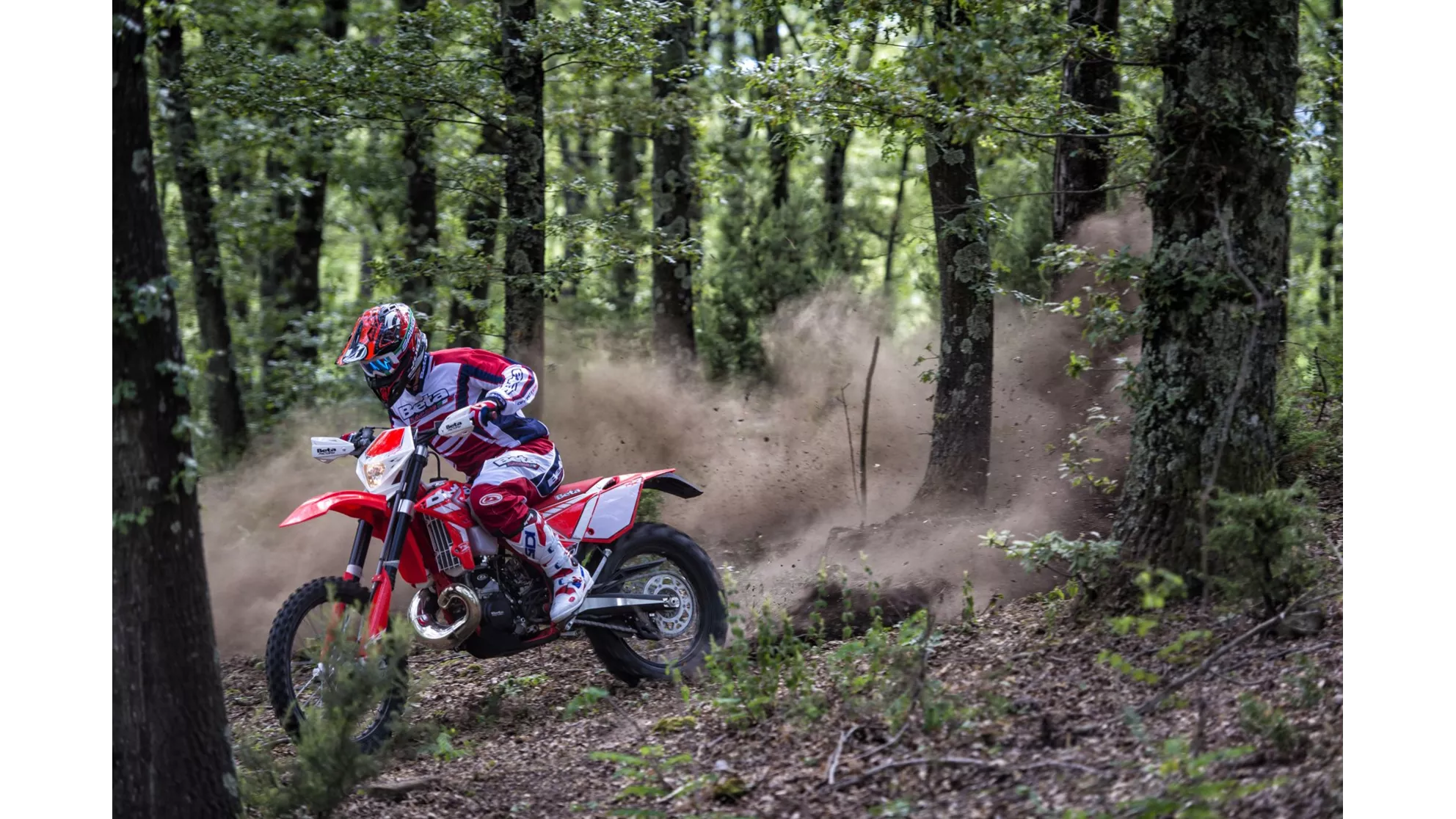 Beta RR 250 2T - Image 1 Beta RR 250 2T - Image 1