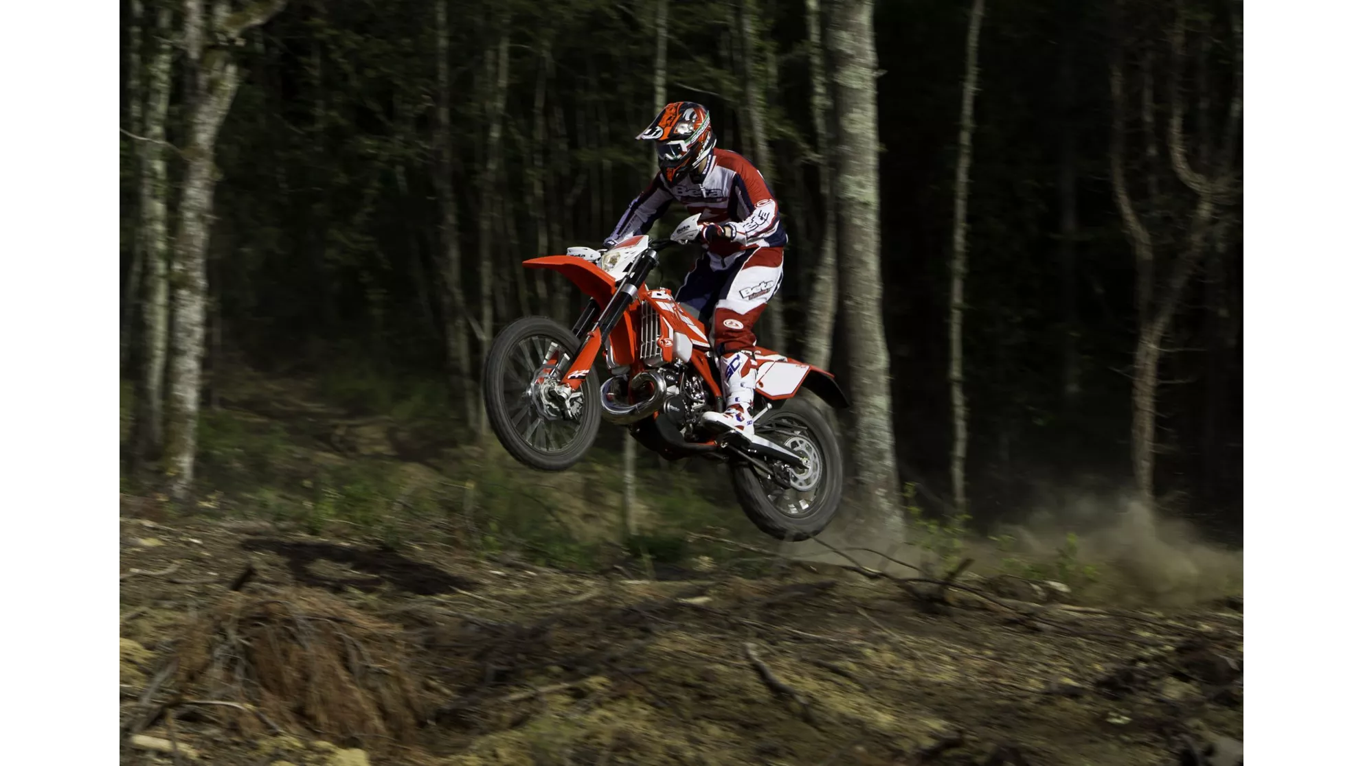 Beta RR 250 2T - Image 4 Beta RR 250 2T - Image 4