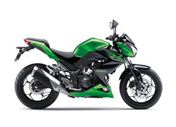 Kawasaki Z 300