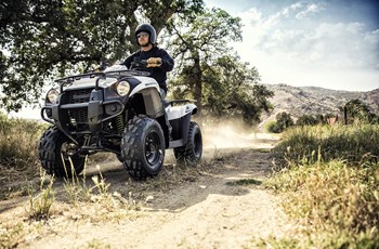 Kawasaki Brute Force 300 2016 - Bild 2