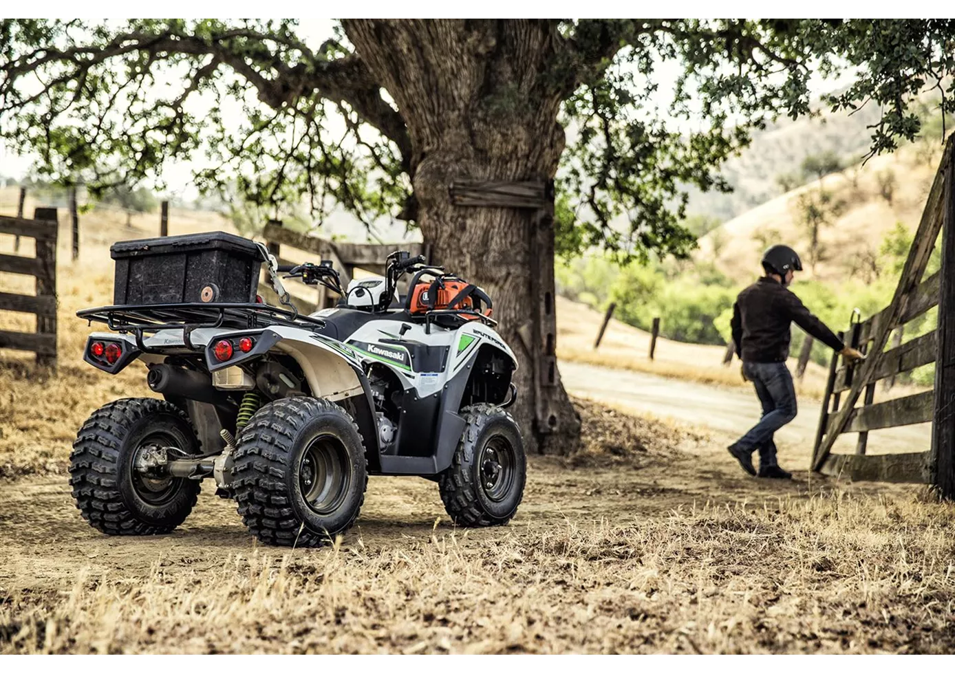 Kawasaki Brute Force 300 2016 Kawasaki Brute Force 300 2016