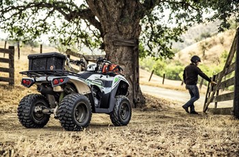 Kawasaki Brute Force 300 2016 - Bild 5