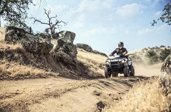 Kawasaki Brute Force 300 2016 - Bild 6