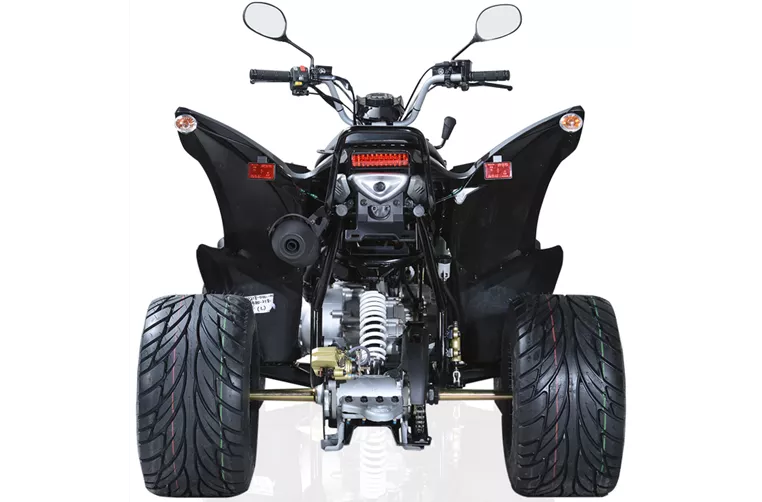 Aeon Cobra S 300 2016 Aeon Cobra S 300 2016