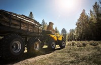 Can-Am Outlander L 450 DPS 2016 - Bild 19