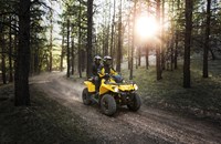 Can-Am Outlander L Max 570 DPS 2016 - Bild 10