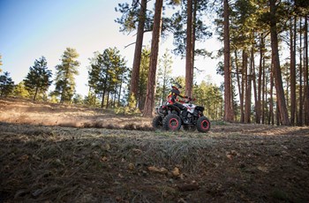 Can-Am Renegade 570 XXC 2016 - Bild 4