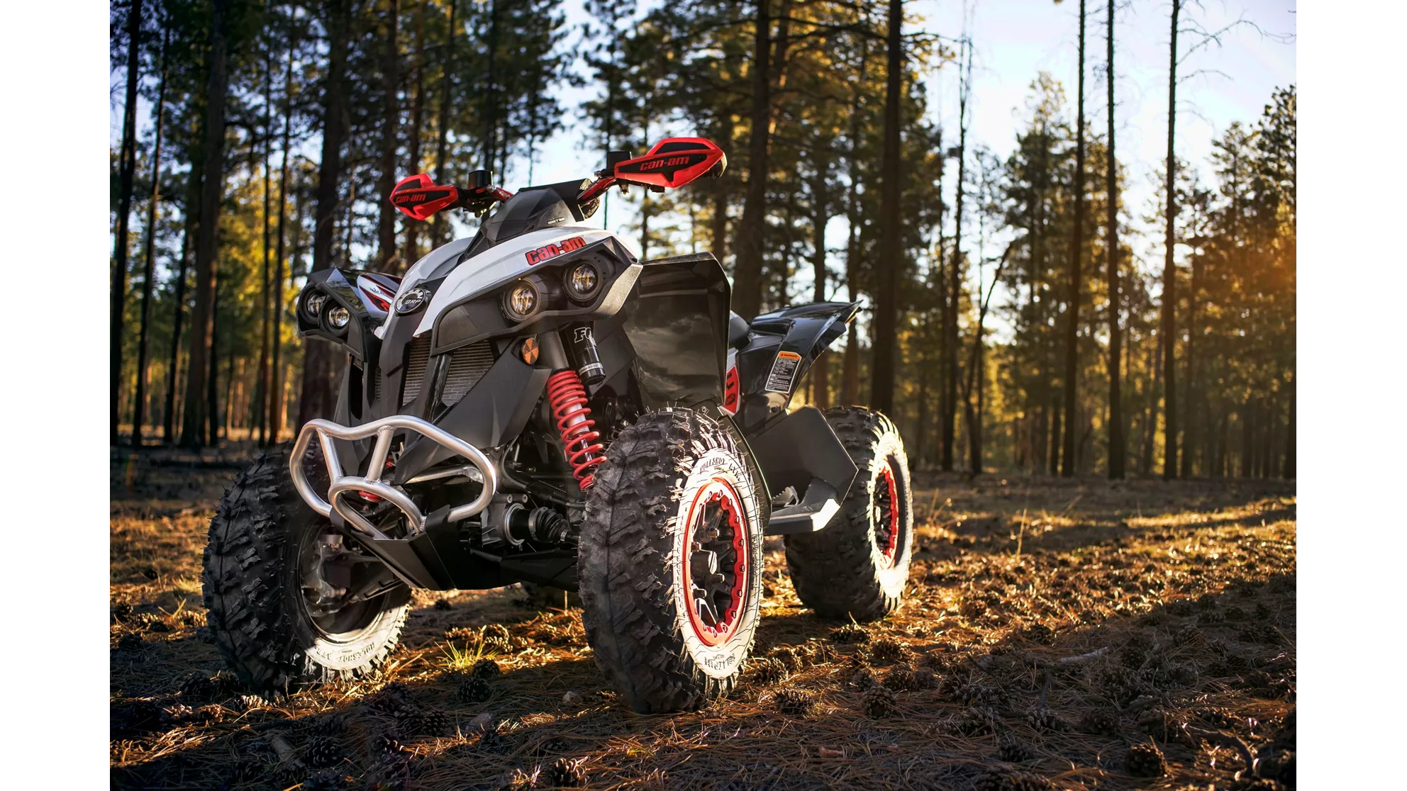 Can-Am Renegade 850 XXC - Immagine 5