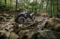 Polaris ACE 325 2016 - Bild 2