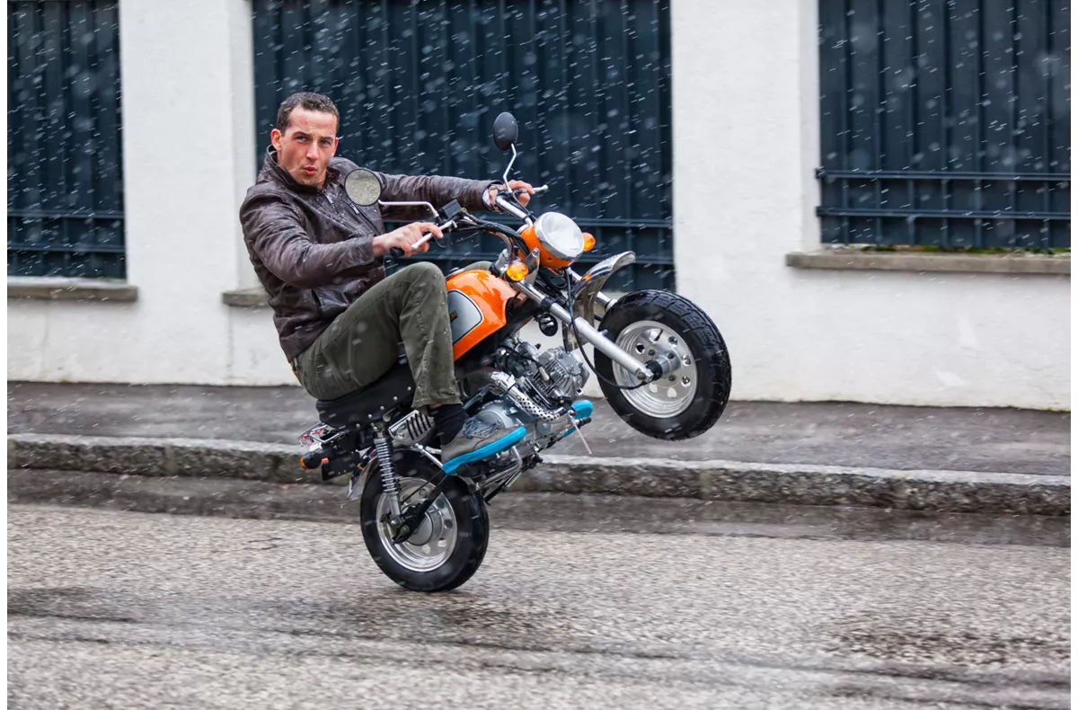 Skyteam Gorilla 50 Skyteam Gorilla 50