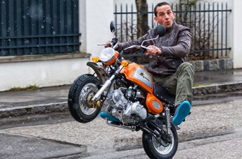 Skyteam Gorilla 125 2017 - Bild 2