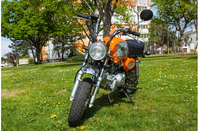 Skyteam Gorilla 125 2017 Skyteam Gorilla 125 2017