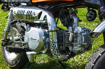 Skyteam Gorilla 125 2017 - Bild 12