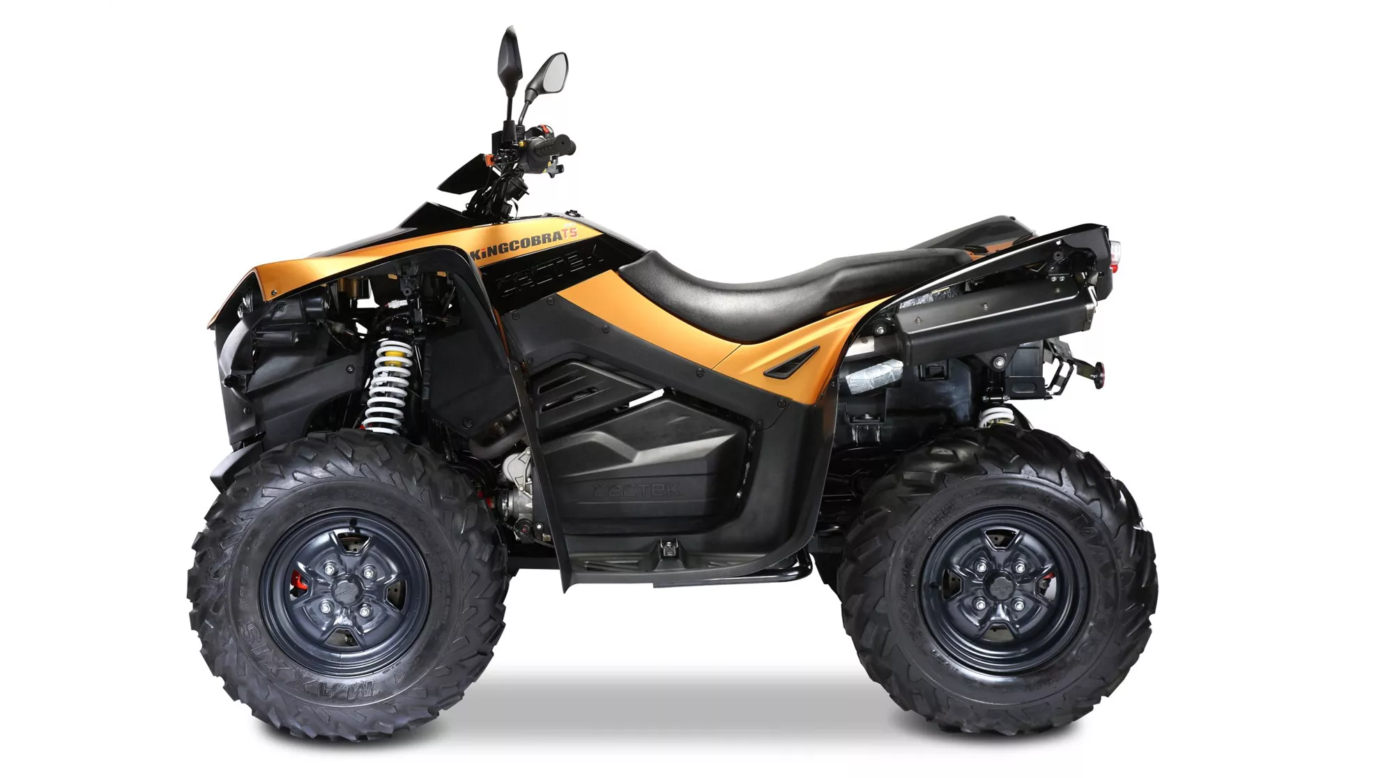 Cectek King Cobra 500EFI - Image 2 Cectek King Cobra 500EFI - Image 2