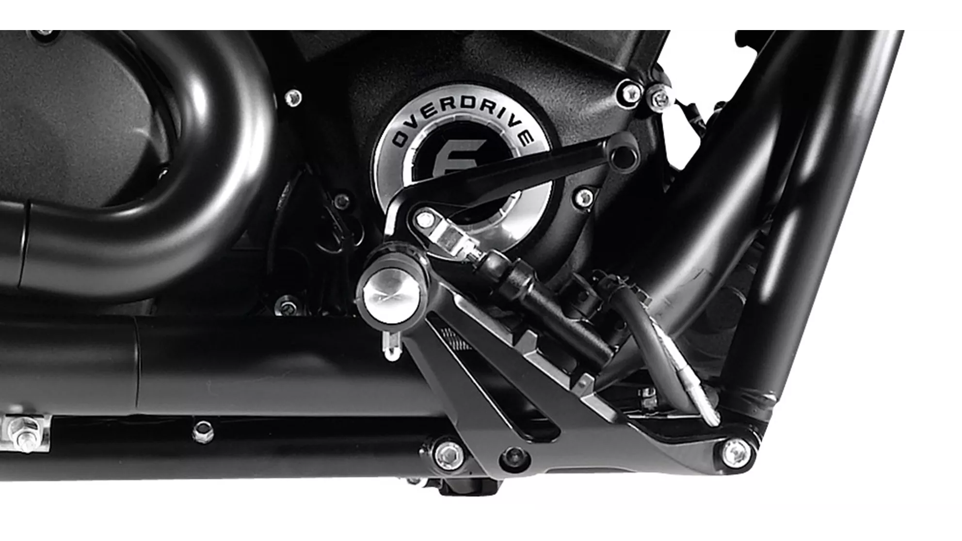 Victory Judge - Image 6 Victory Judge - Image 6