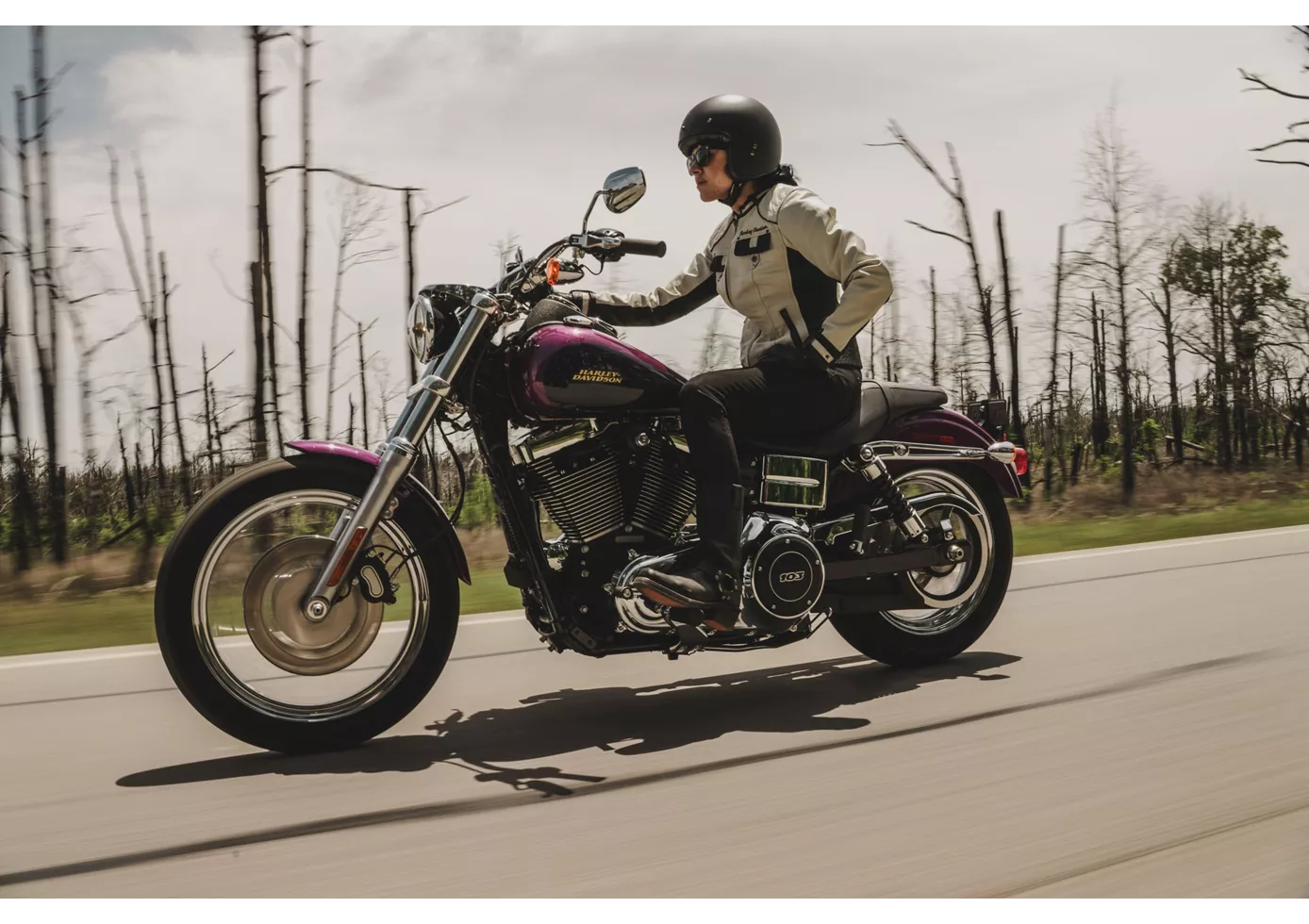 Harley-Davidson Dyna Low Rider FXDL 2017