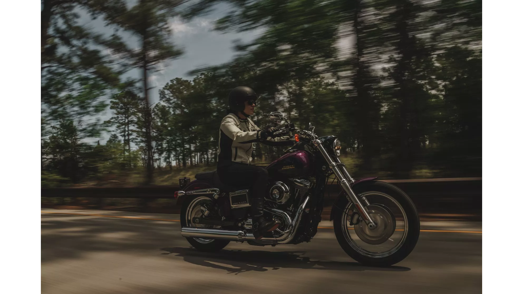 Harley-Davidson Dyna Low Rider FXDL - Resim 1