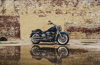 Harley-Davidson Softail Deluxe FLSTN 2017 - Bild 3 Harley-Davidson Softail Deluxe FLSTN 2017 - Bild 3