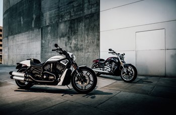 Harley-Davidson V-Rod Muscle VRSCF 2017 - Bild 4 Harley-Davidson V-Rod Muscle VRSCF 2017 - Bild 4