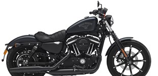 Harley-Davidson Sportster XL 883 N Iron 2017 vs PGO T-Rex 50 2009