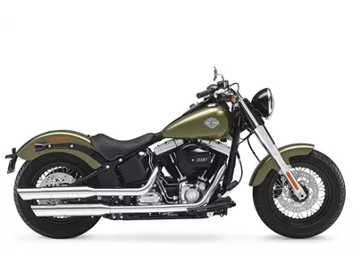 Harley-Davidson Softail Slim FLS 2017 Harley-Davidson Softail Slim FLS 2017