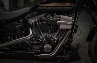 Harley-Davidson CVO Pro Street Breakout FXSE 2017 - Bild 7