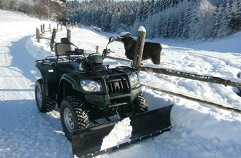 CFMOTO 500-A 4x4 2017 - Bild 9 CFMOTO 500-A 4x4 2017 - Bild 9