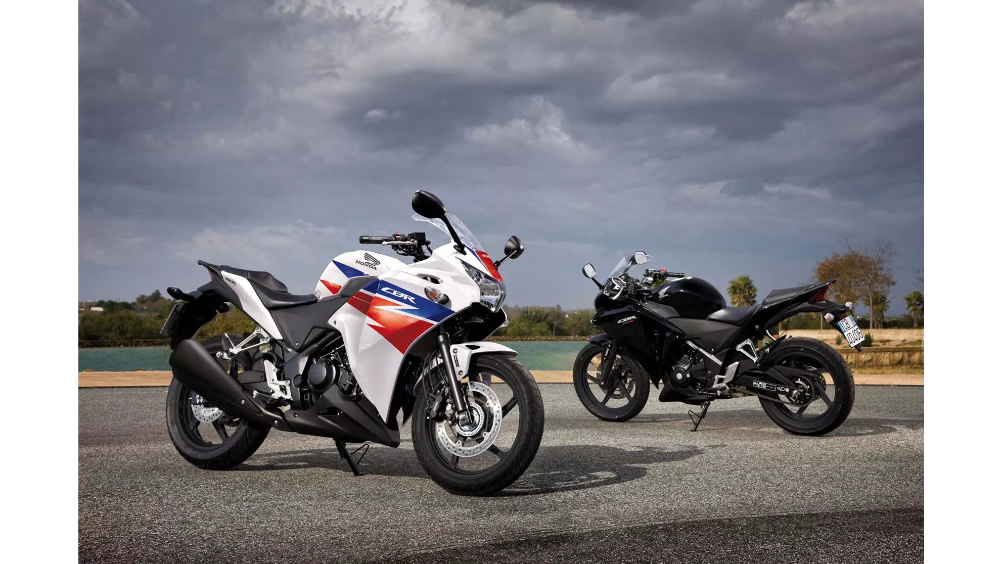 Honda CBR 250 R - Immagine 6 Honda CBR 250 R - Immagine 6