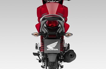 Honda CB125F 2017 - Bild 6 Honda CB125F 2017 - Bild 6
