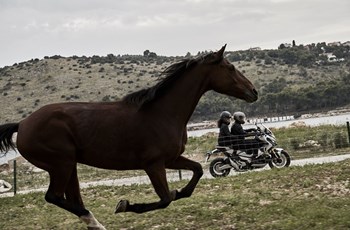 Honda X-ADV 2017 - Bild 17 Honda X-ADV 2017 - Bild 17