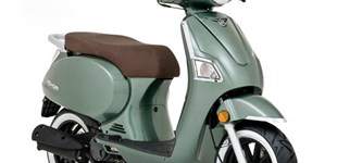 Beeline Memory 50 Classic 2017 vs Online Memory FL 2019