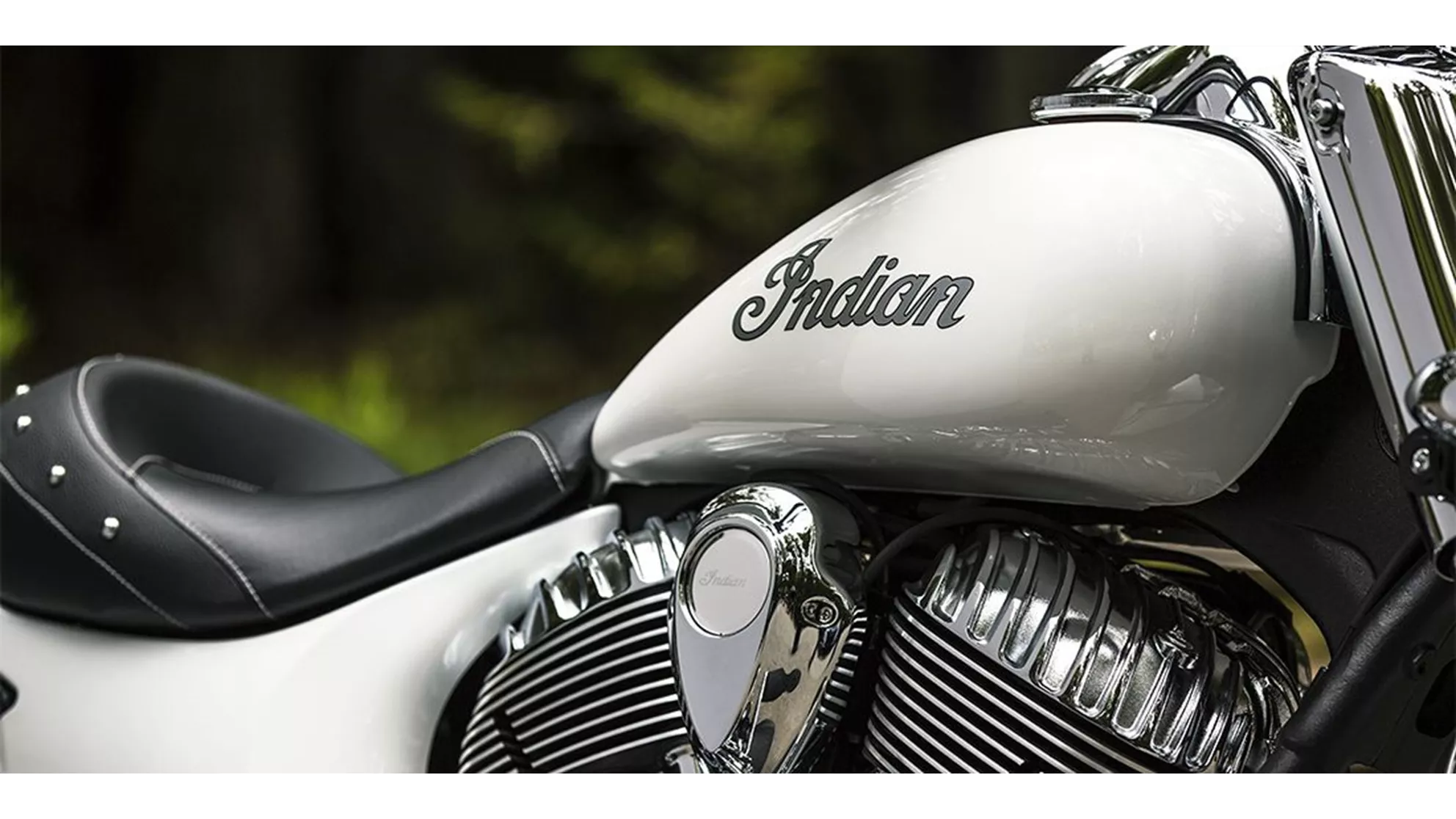 Indian Chief Classic - Image 6 Indian Chief Classic - Image 6