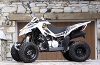 Goes G 300 S 2017 - Bild 2