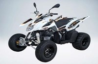 Goes G 300 S 2017 - Bild 5