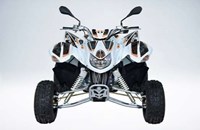 Goes G 300 S 2017 - Bild 6