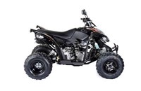 Goes G 300 S 2017 - Bild 8