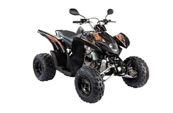 Goes G 300 S 2017 - Bild 9