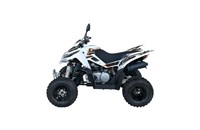 Goes G 300 S 2017 - Bild 12