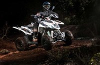 Goes G 300 S 2017 - Bild 19