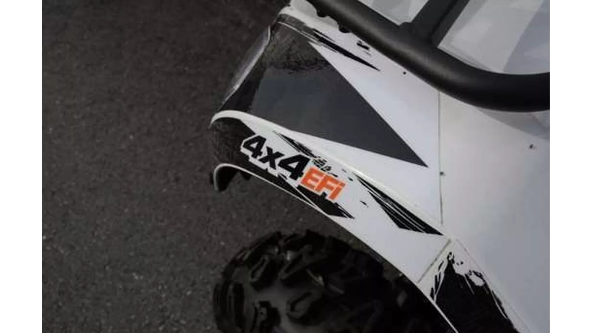 Goes Iron LTD - Image 7 Goes Iron LTD - Image 7