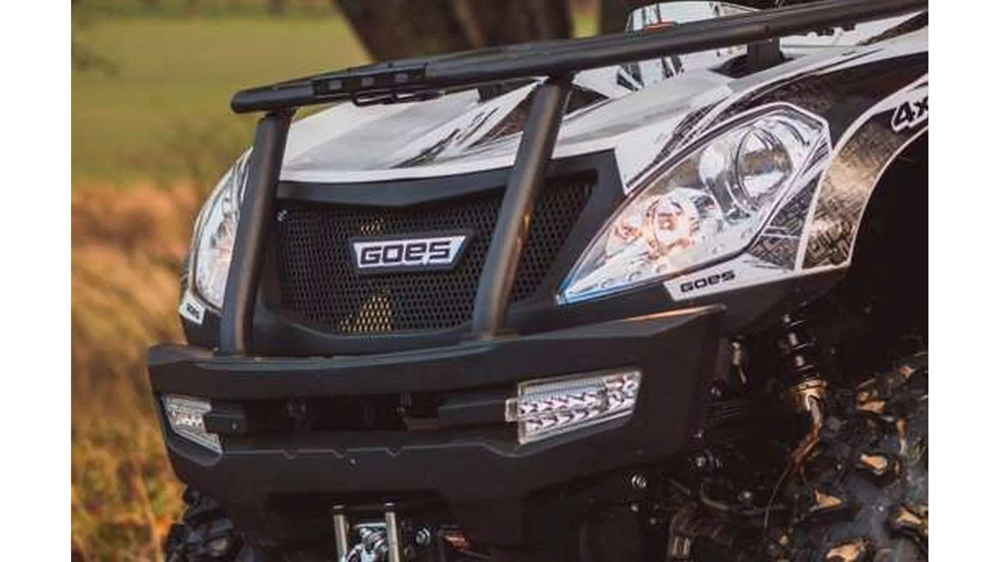 Goes Iron LTD - Image 9 Goes Iron LTD - Image 9