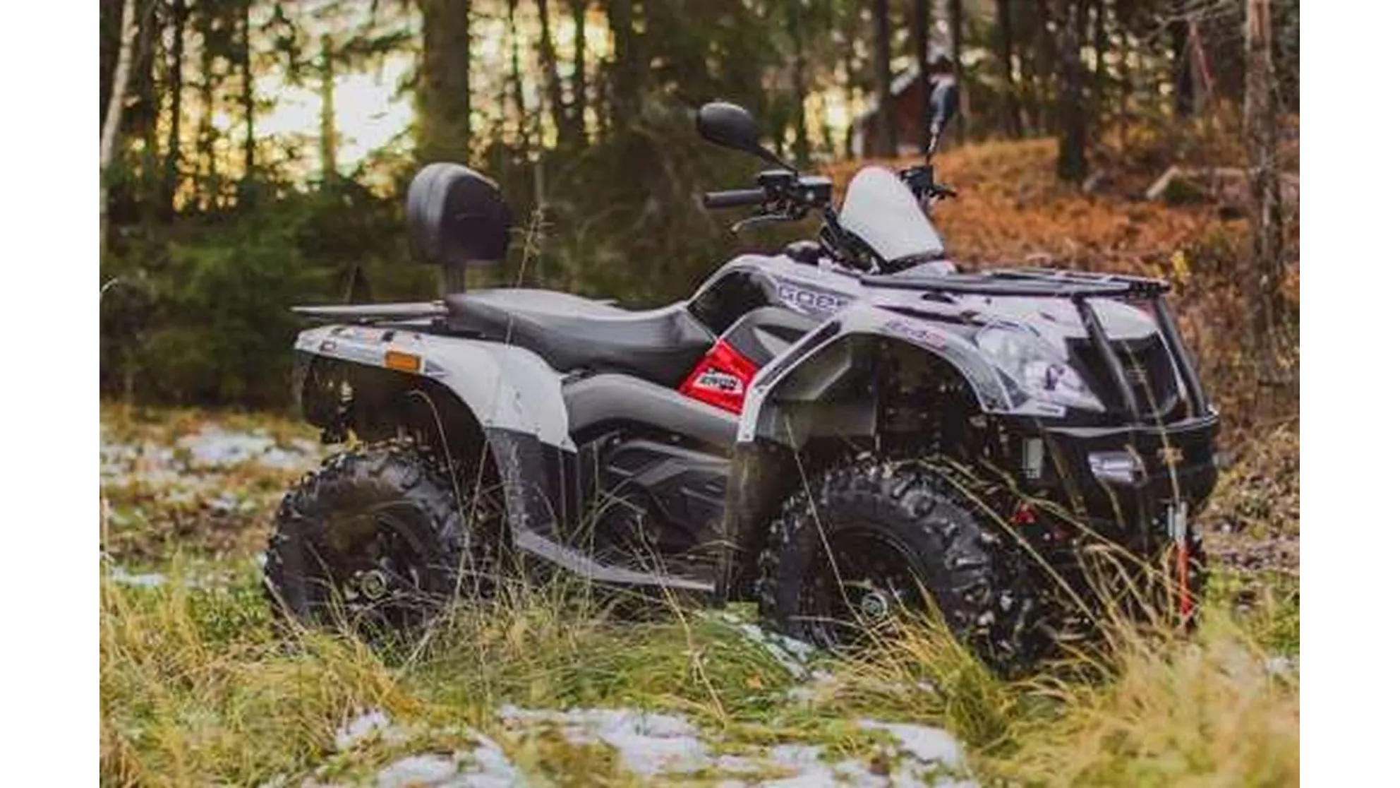 Goes Iron LTD - Image 15 Goes Iron LTD - Image 15