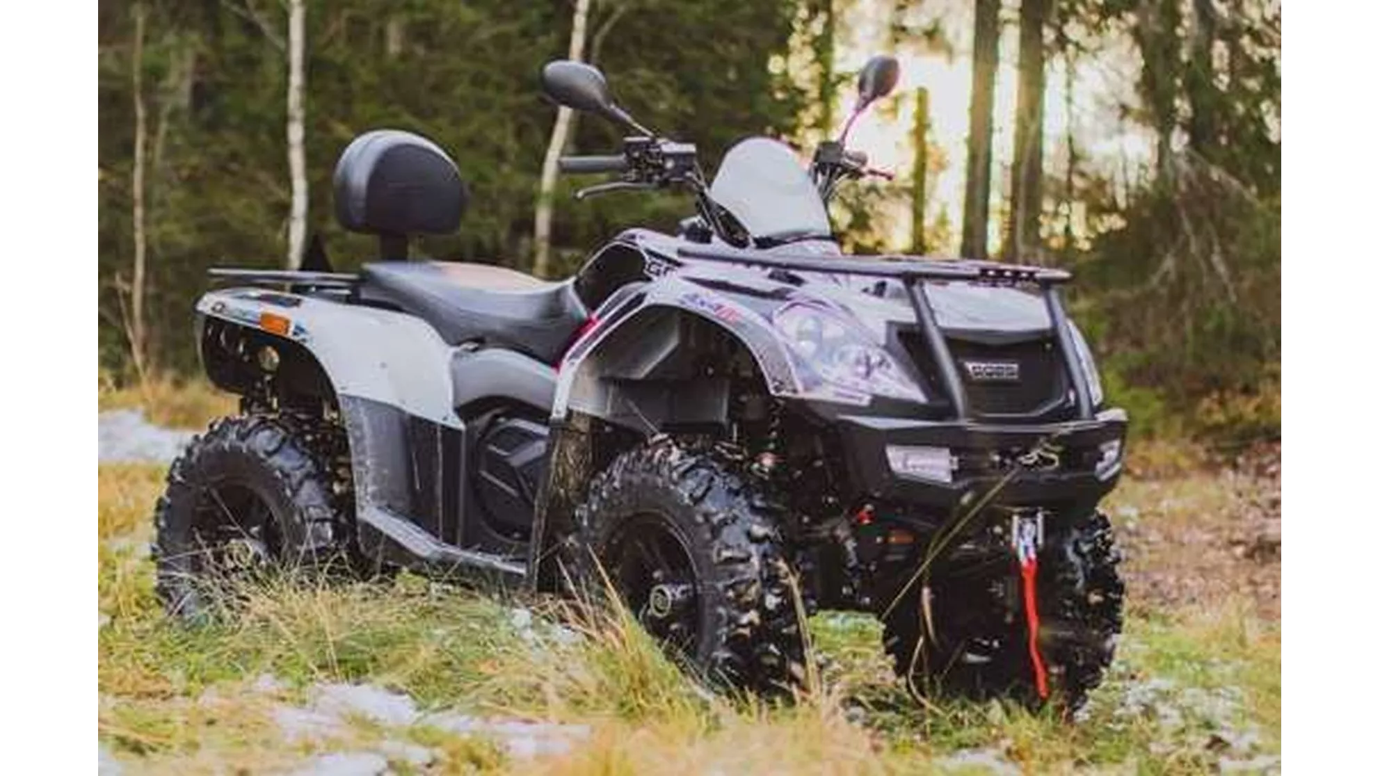 Goes Iron LTD - Image 16 Goes Iron LTD - Image 16