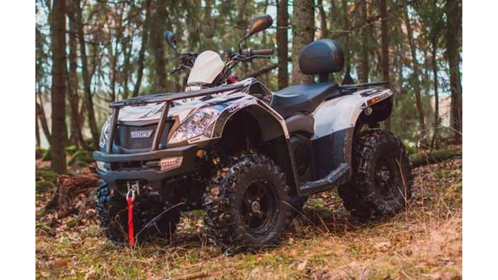 Goes Iron LTD - Image 17 Goes Iron LTD - Image 17